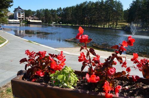 Apartamento Zlatibor Hills Kneginja