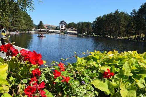 Apartamento Zlatibor Hills Kneginja