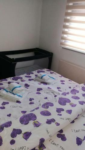 Zlatibor Apartman Mata