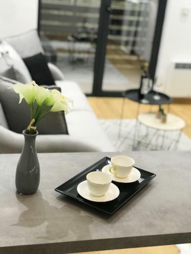 Lux Apartment S6/8 In Vila Pekovic