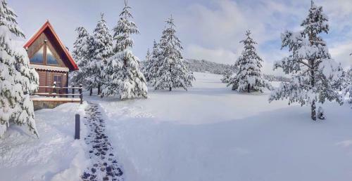 Previja Zlatibor Chalet