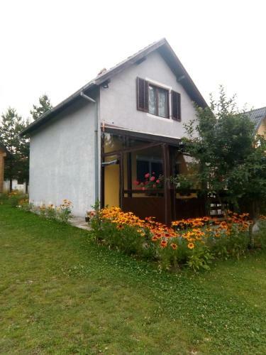 Apartment Marija