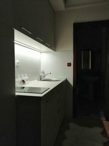 Apartment Lavina