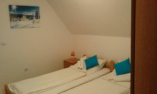 Apartment Jovana