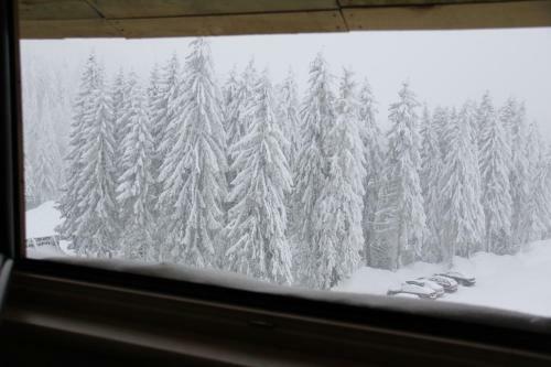 Bed & Breakfast Kopaonik011 Konaci