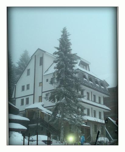 Apartment Lazic Vila Suri