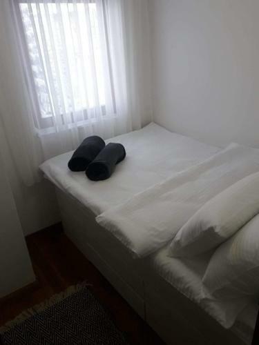 Apartman Marija, Vila Suri