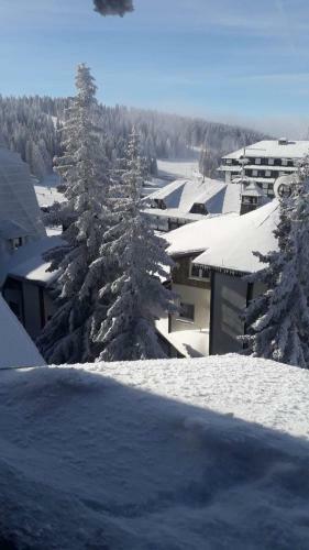 Apartman Marija, Vila Suri