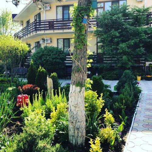 Hotel Morskie Rify Pansionat