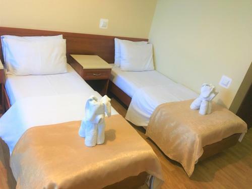 Hotel Edelveys