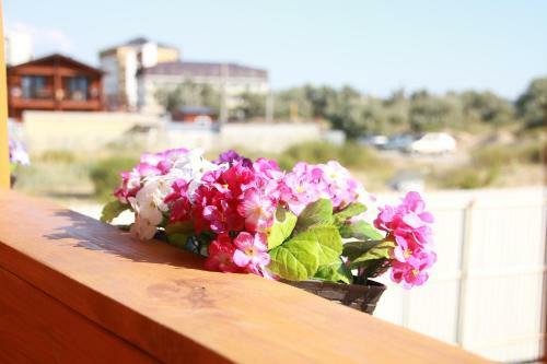 Posada Mon Mishel Hotel