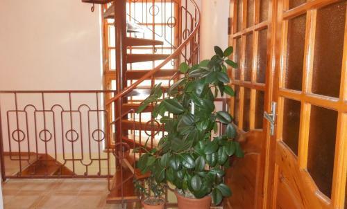 Hostal South House Guest House
