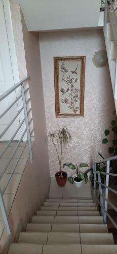 Hostal Guest House Anastasiya