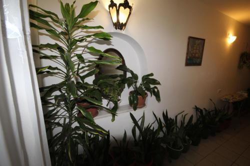 Hostal Guest House On Kirova 78