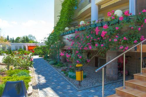 Hostal Akva-solyaris Guest House