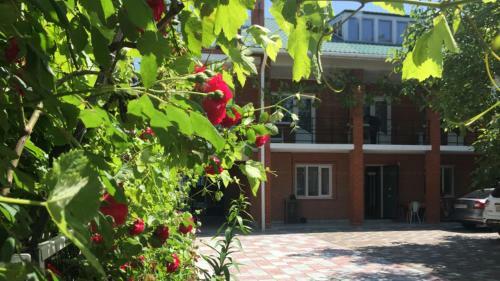 Hostal Lidiya Guest House