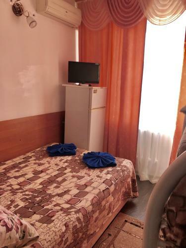 Posada Svetlana Mini-hotel