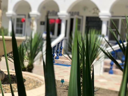 Hostal Guest House Villa Mari