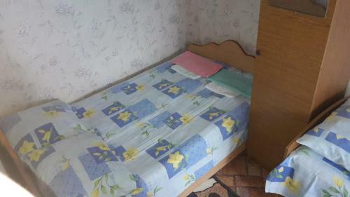 Hostal Guesthouse U Borisovny