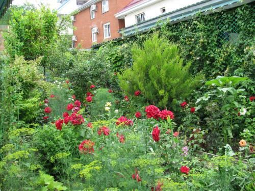 Hostal Guesthouse U Borisovny