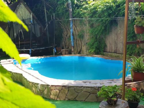 Hostal Arkona Na Krepostnoy