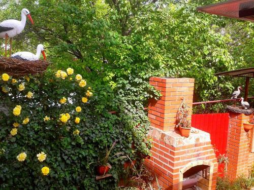 Hostal Katerina Guest House