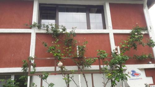 Hostal Villa Sofia