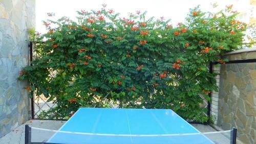 Hostal Tikhaya Gavan