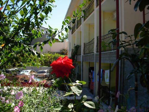 Hostal Arhos Guest House