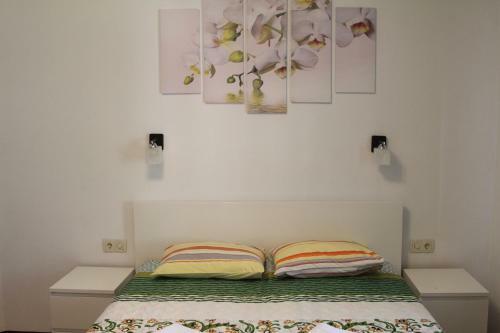Hotel Aksis House