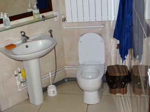 Hostal Guest House "mansion"