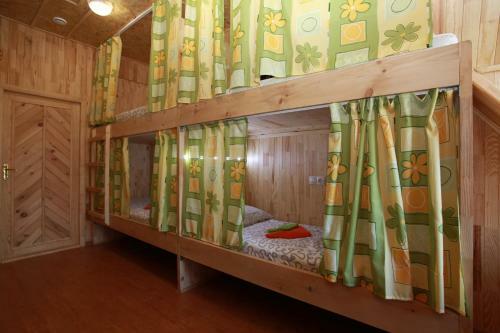 Art-eco-hotel Altai