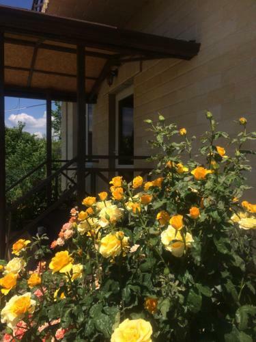 Hostal Gostevoy Dom Kakadu