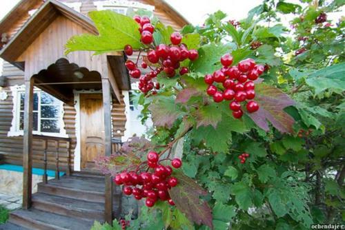 Hotel Gornoye Nastroeniye