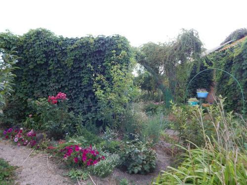 Hostal Gostevoy Dom Anastasiya