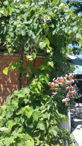 Hostal Guest House On Kalinina 101