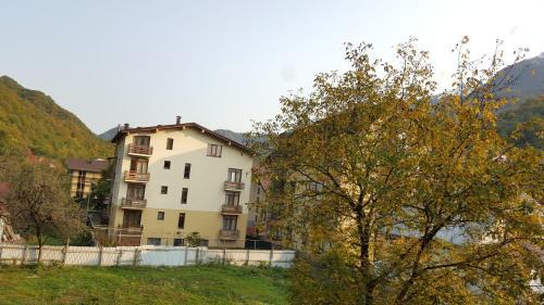 Monte Rosa Apartment 17