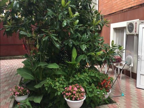 Hostal Na Izumrudnoy