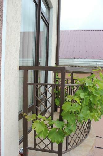 Hostal Mone Guest House