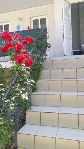 Hostal Tatyana Guest House