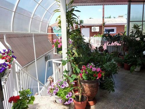 Hostal Irtysh Guest House