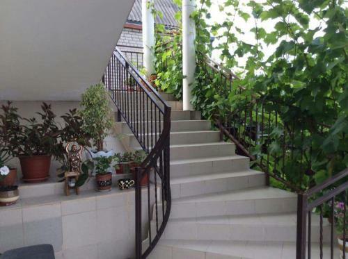 Hostal Guesthouse Leon