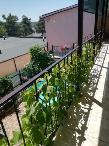 Hostal Lagrein Guest House