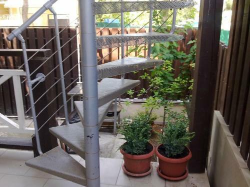 Hostal Belka Guest House