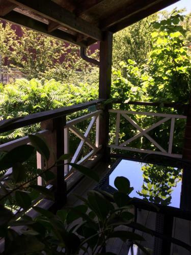 Hostal Belka Guest House