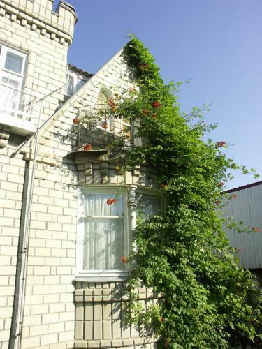 Apartments Koral