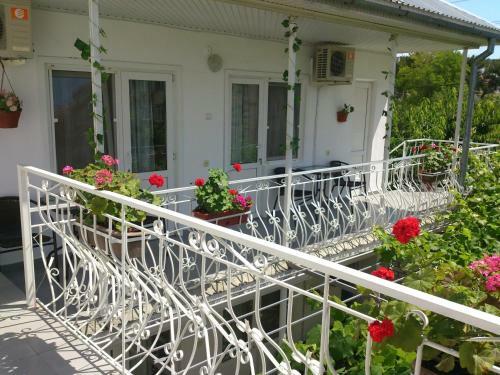 Hostal Guest House Nadezhda