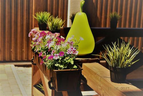 Hostal Kesea Guest House