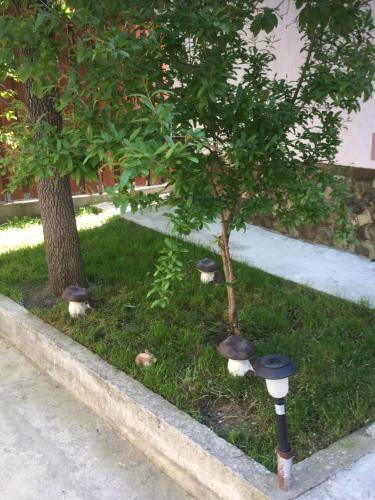 Hostal Guest House "semiramida"