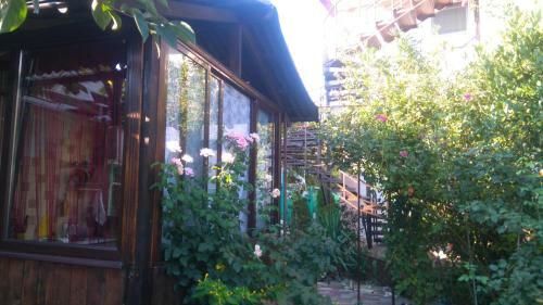 Hostal Guest House Yuzhanka